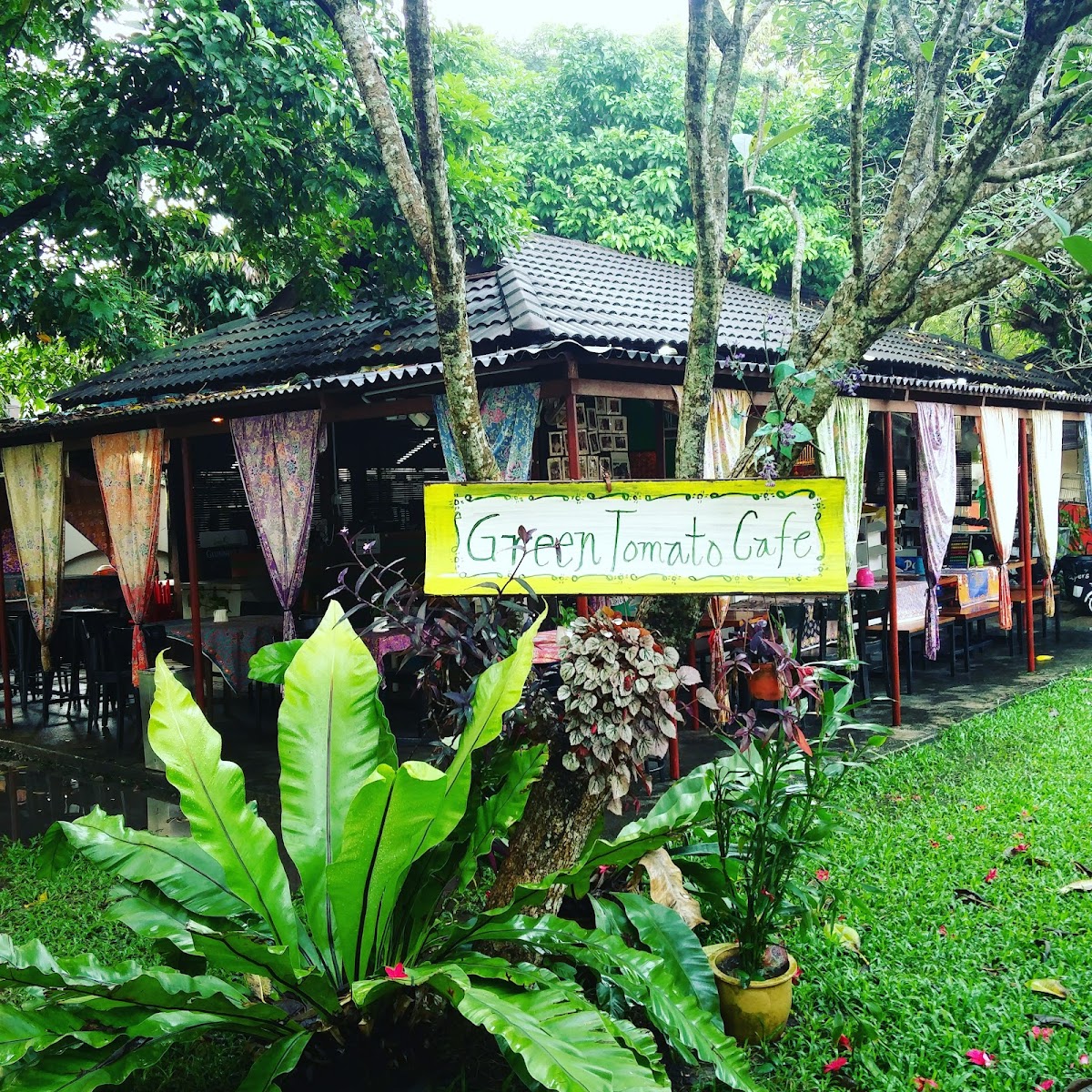 Green Tomato Cafe-4