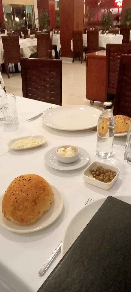 Haci Bozan Ogullari-5