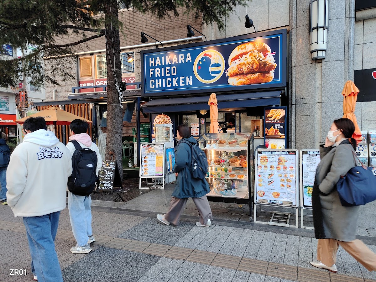 Haikara Fried Chicken Yodobashi Akiba