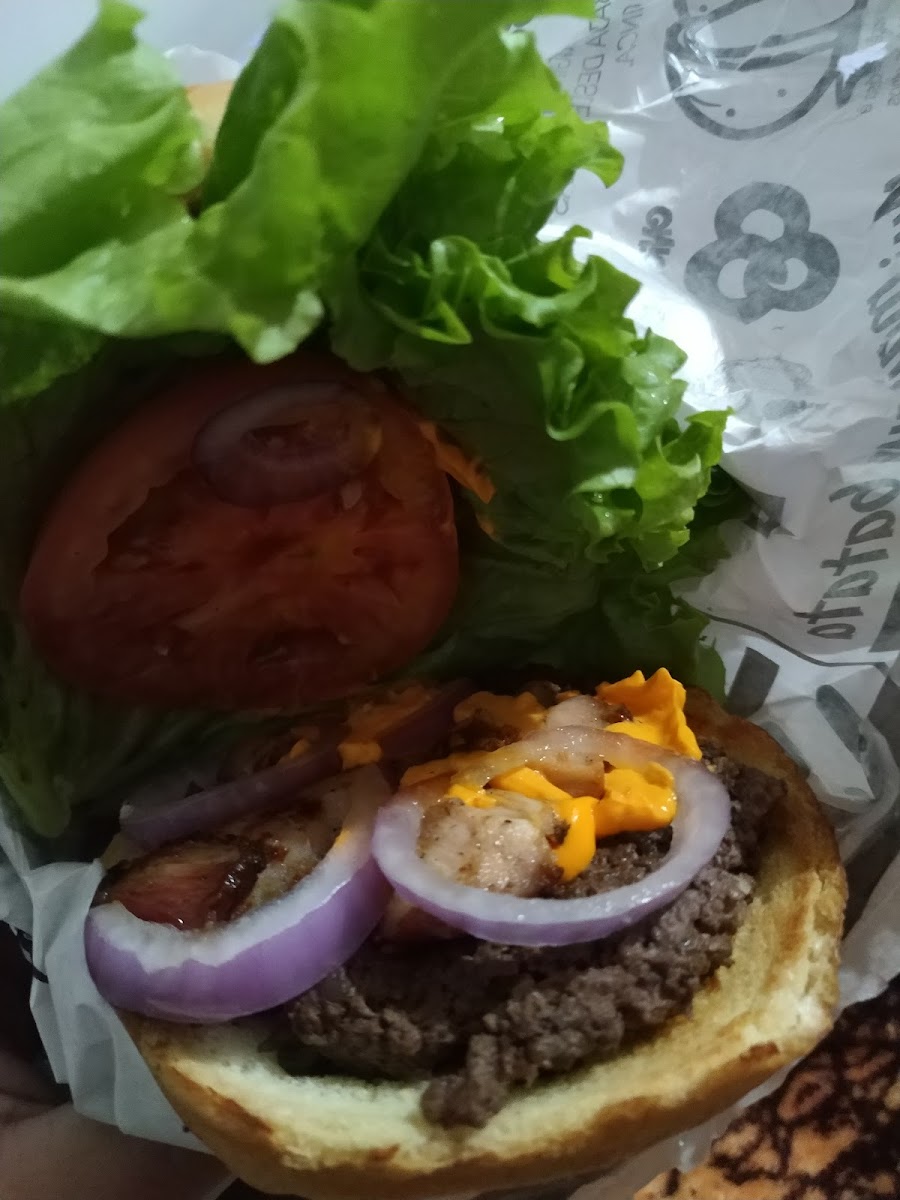 Hakuna Batata Formiga-6