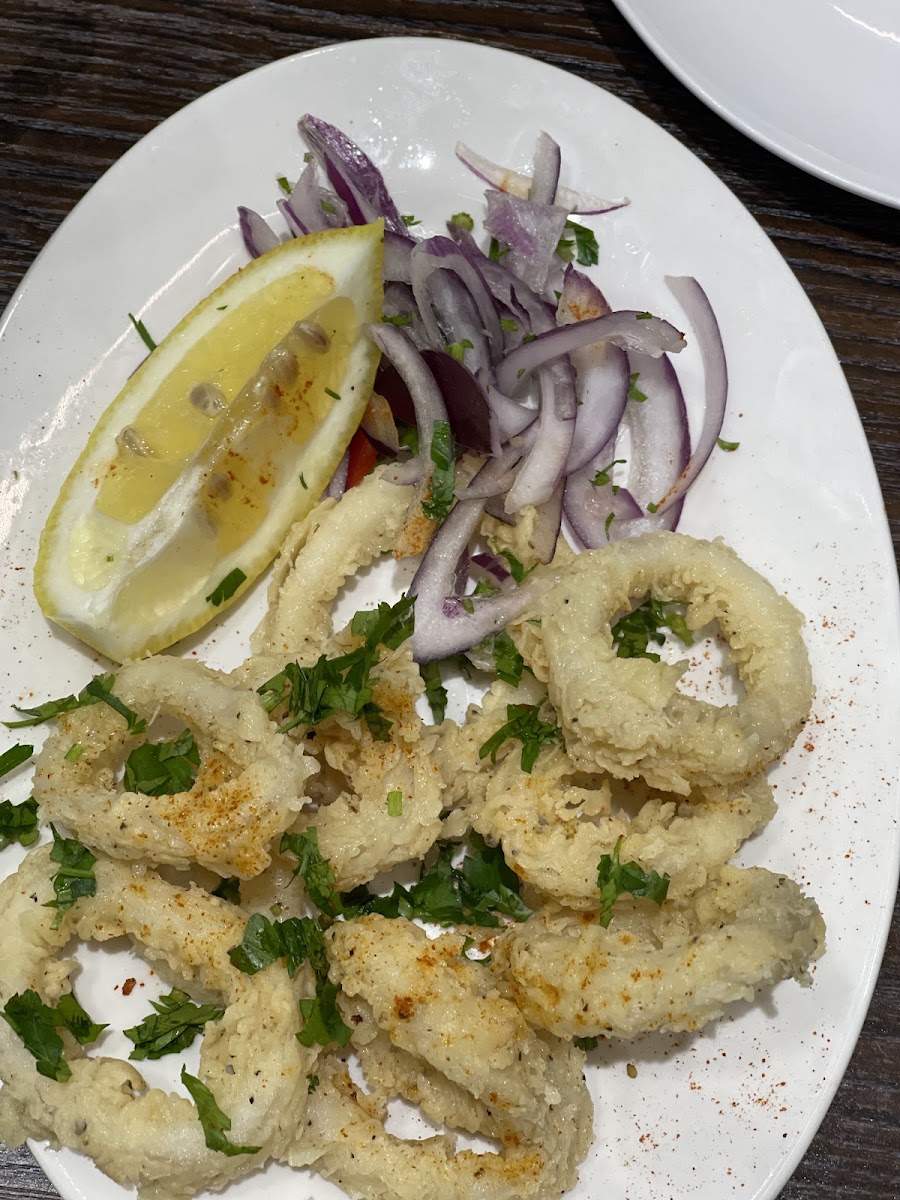Hala Lebanese-10