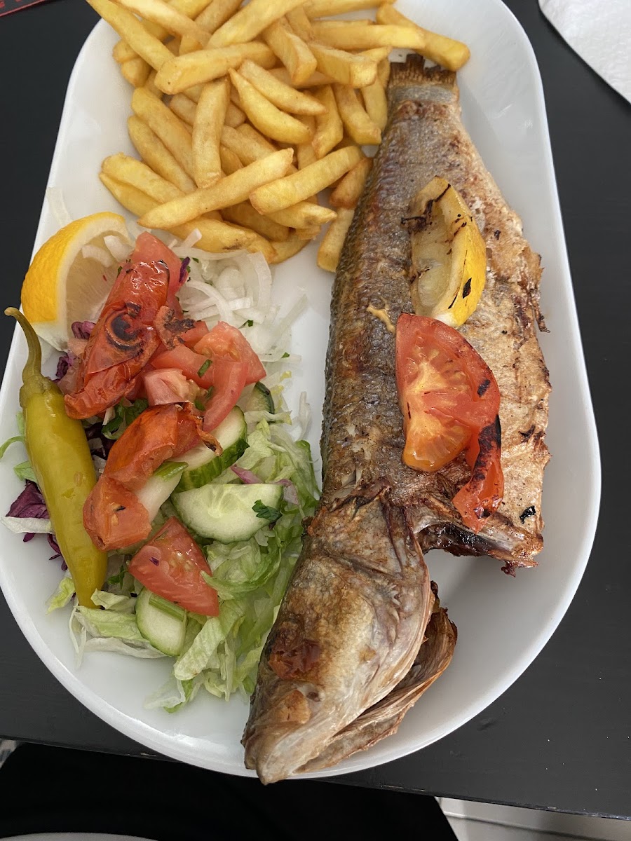 Hala Lebanese-7
