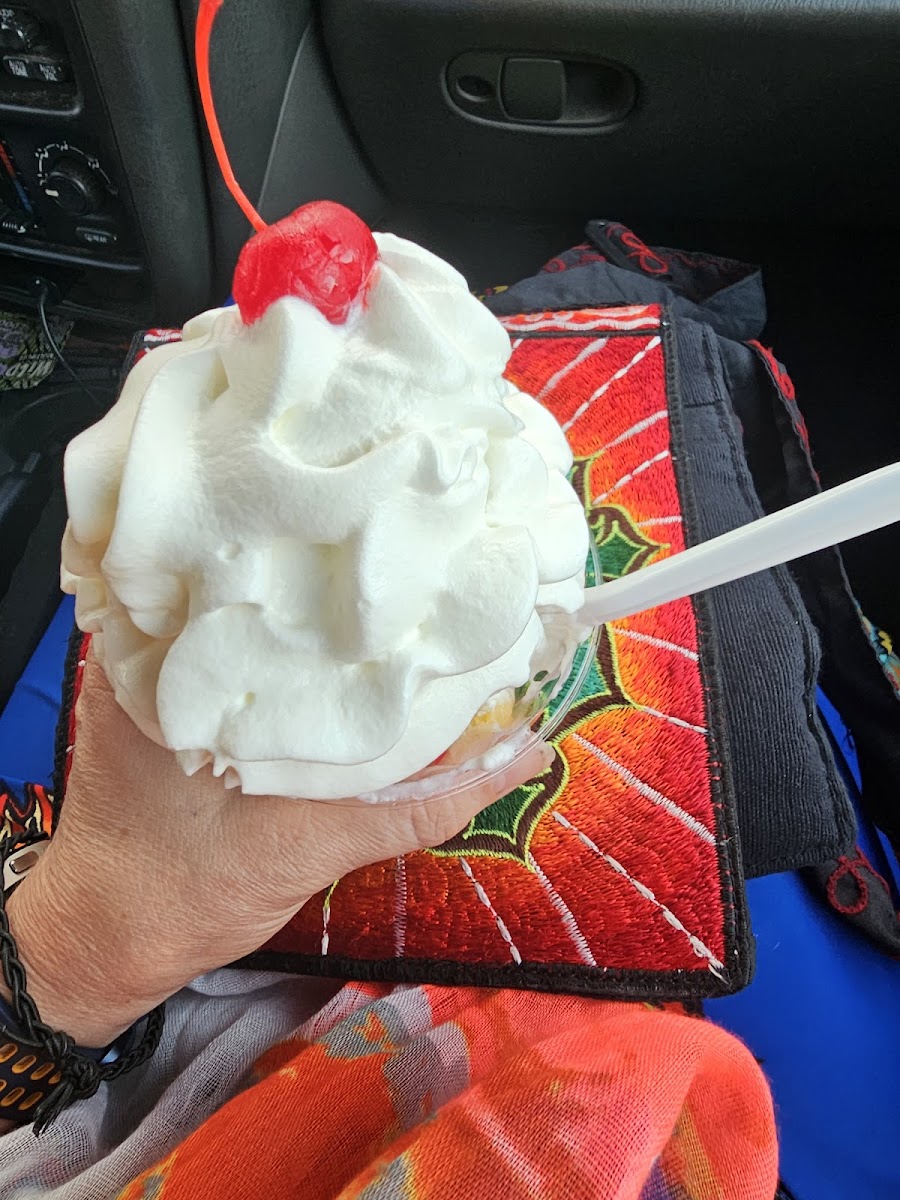 Handel's Homemade Ice Cream-6