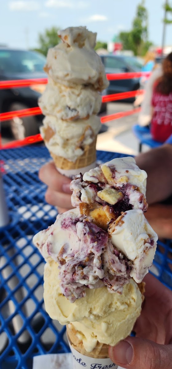 Handel's Homemade Ice Cream-7
