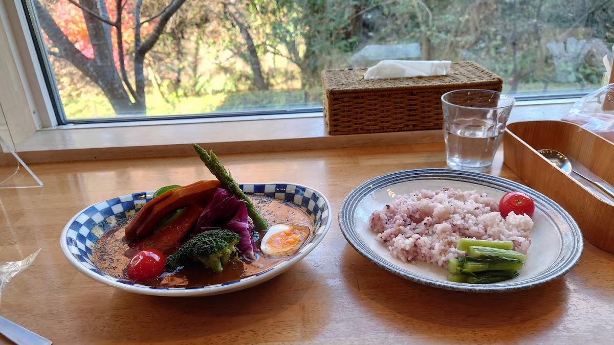 Hanjiro Soup Curry-10