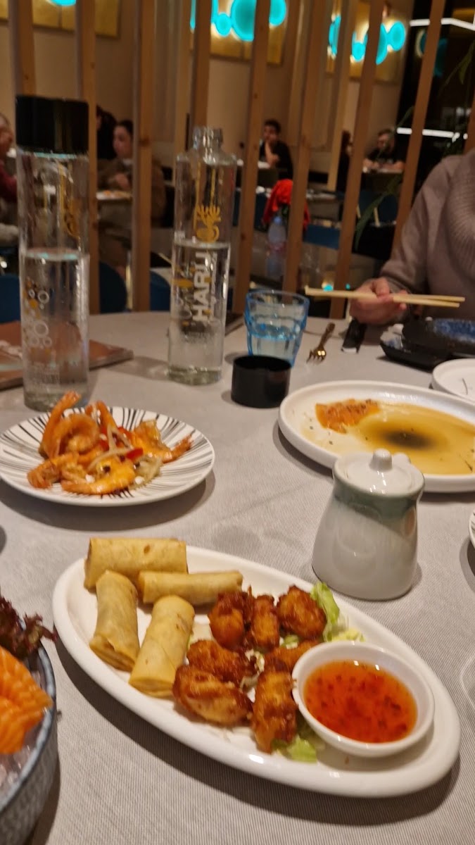 Haru Asian Fusion Restaurant-2
