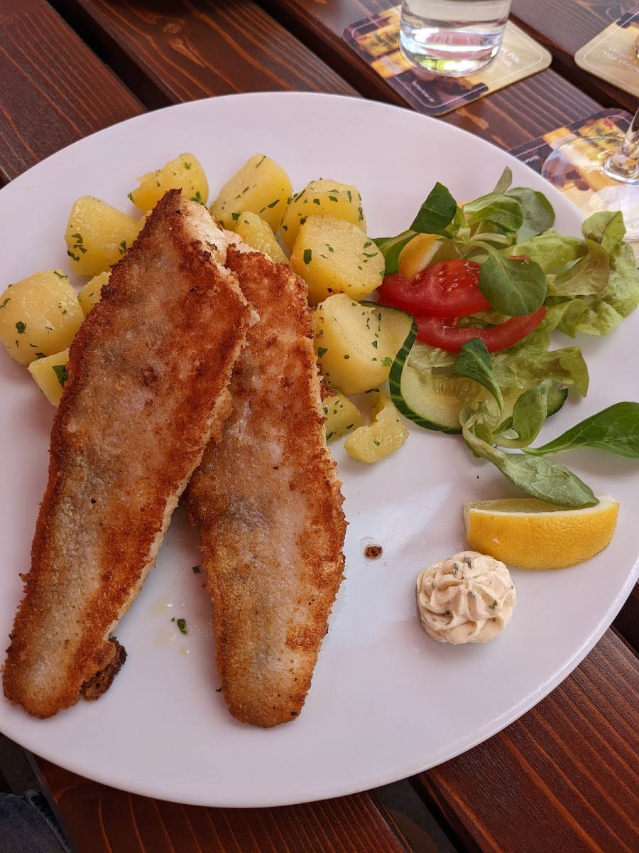 Haydnkeller Restaurant & Pizzeria-6
