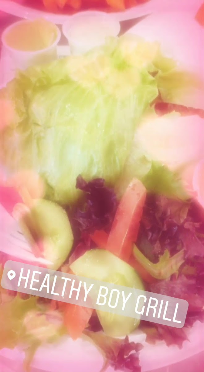 Healthy Boy Grill-2