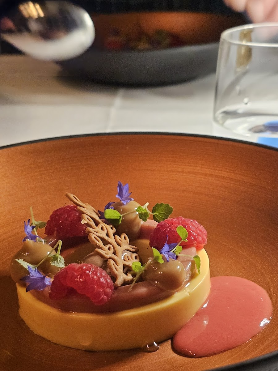 Het Gerecht-2