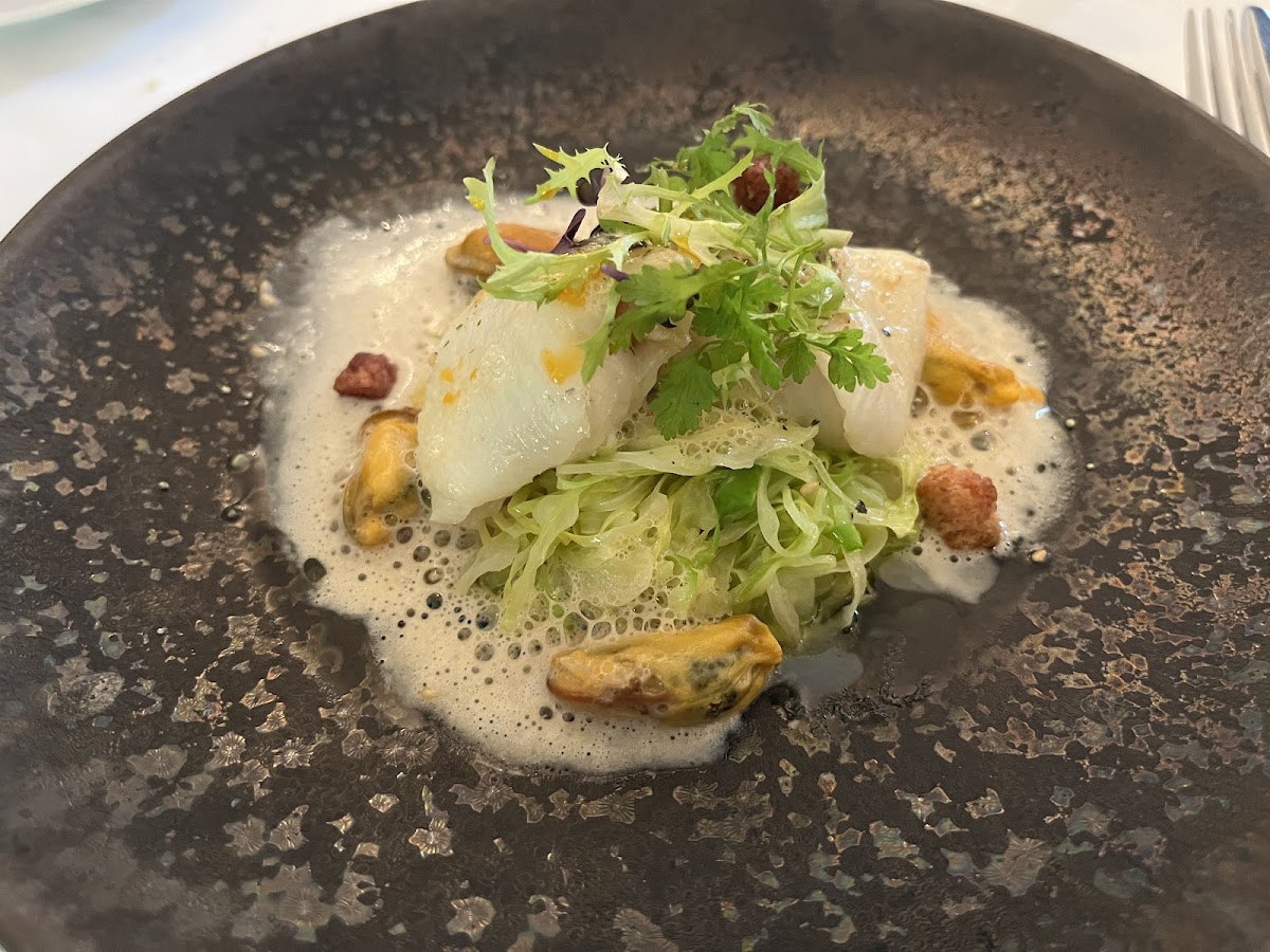 Het Gerecht-4