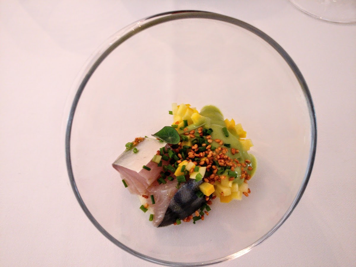 Het Gerecht-6