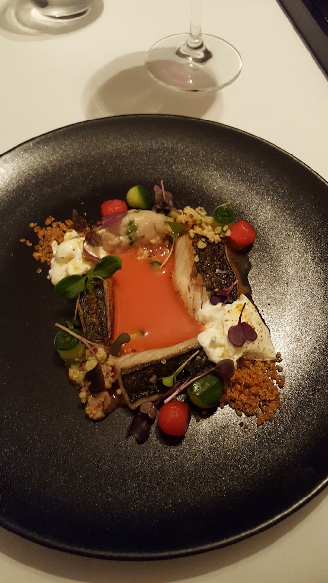 Het Gerecht-8