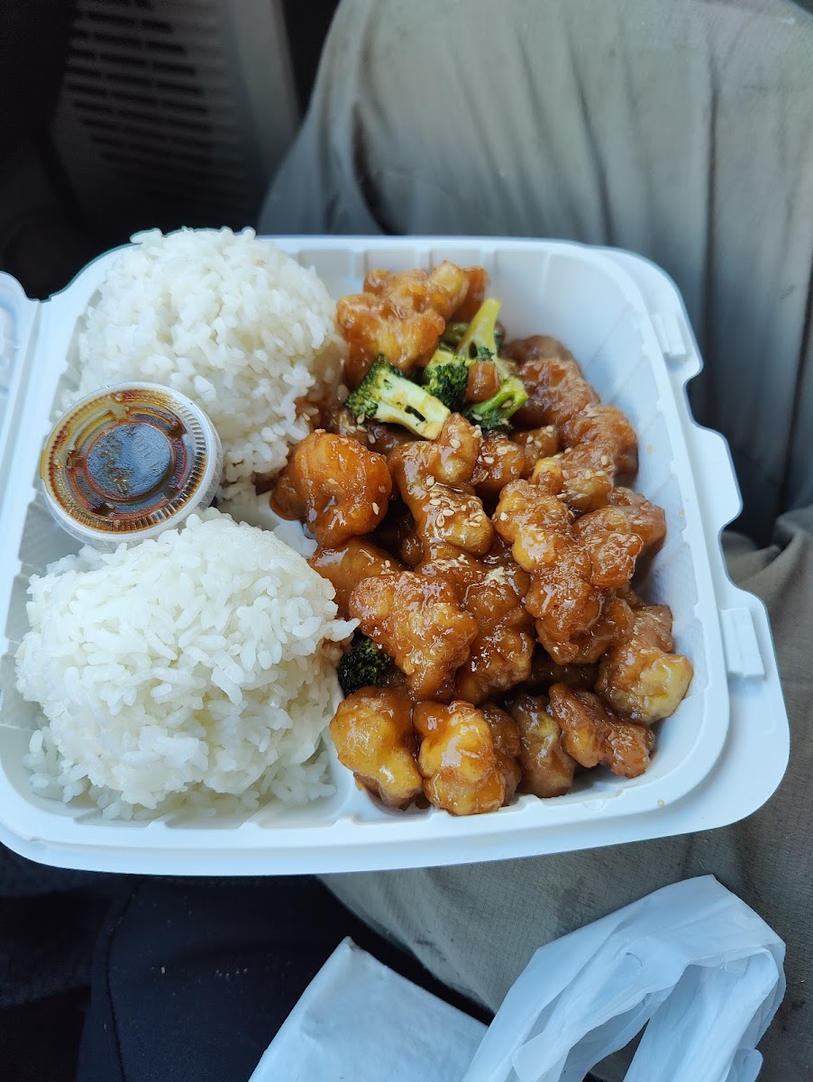 Himitsu Teriyaki-8