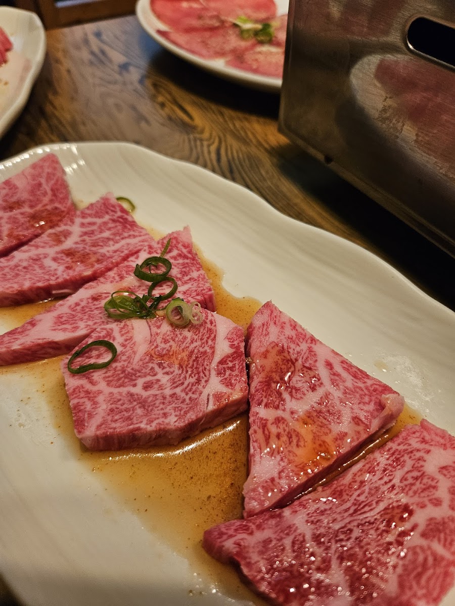 Hiraku-2