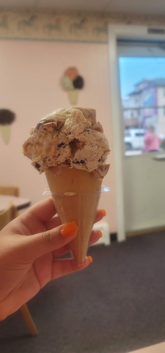 Hobby Horse Ice Cream Parlor & Cafe-10
