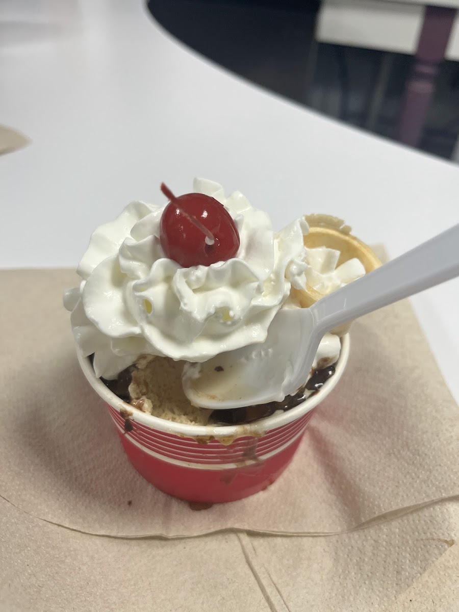 Hobby Horse Ice Cream Parlor & Cafe-4