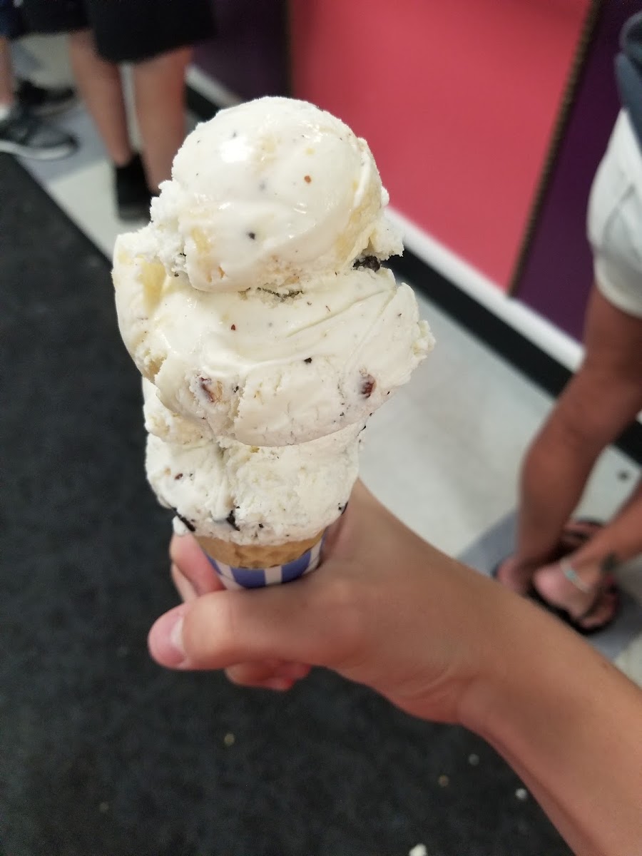 Hobby Horse Ice Cream Parlor & Cafe-5