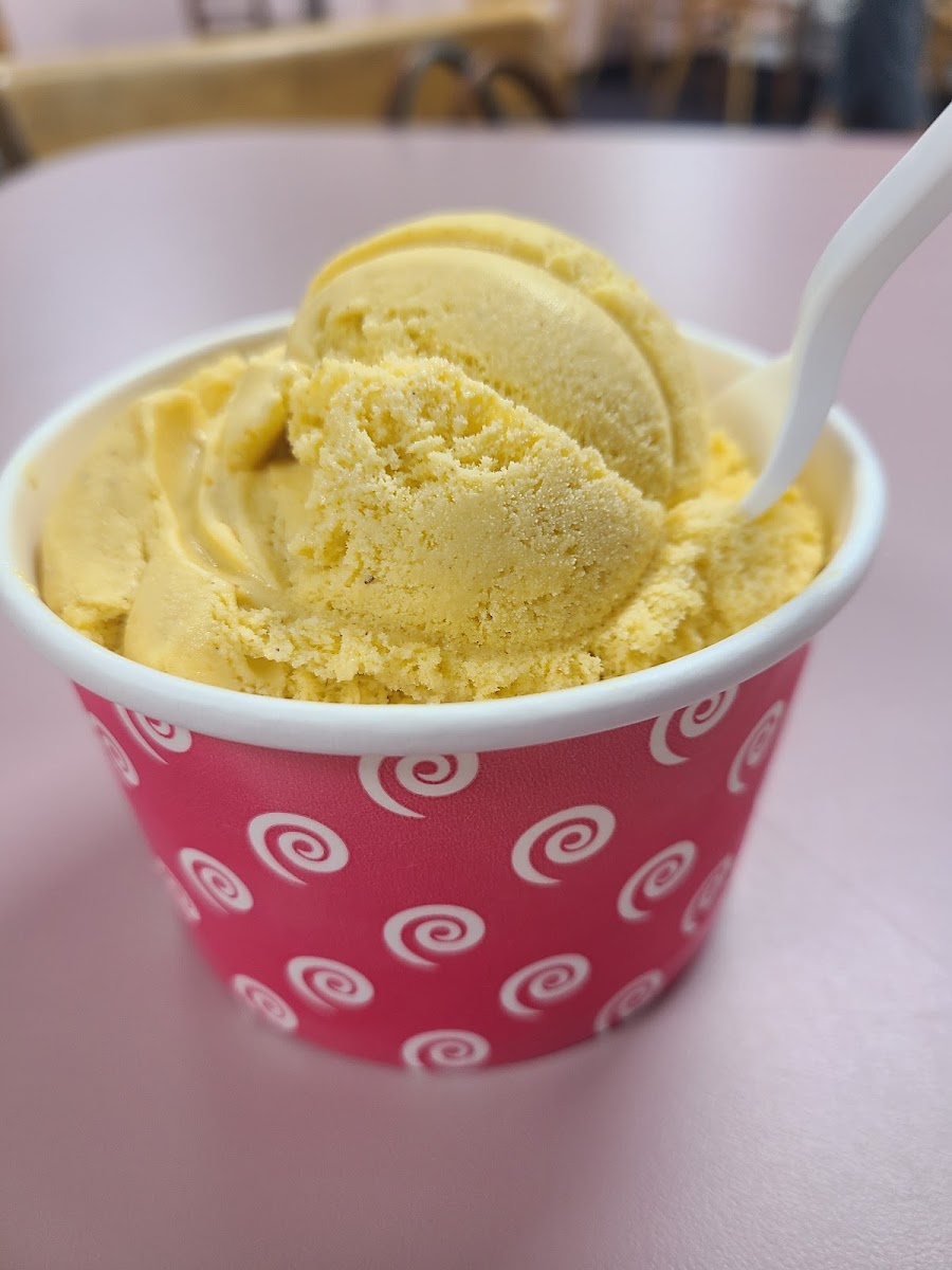 Hobby Horse Ice Cream Parlor & Cafe-6