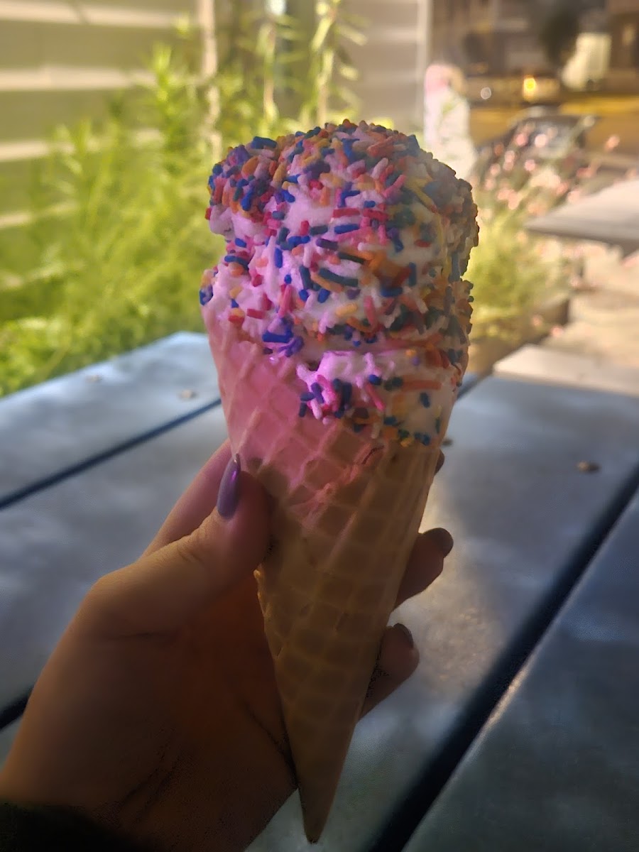 Hobby Horse Ice Cream Parlor & Cafe-8