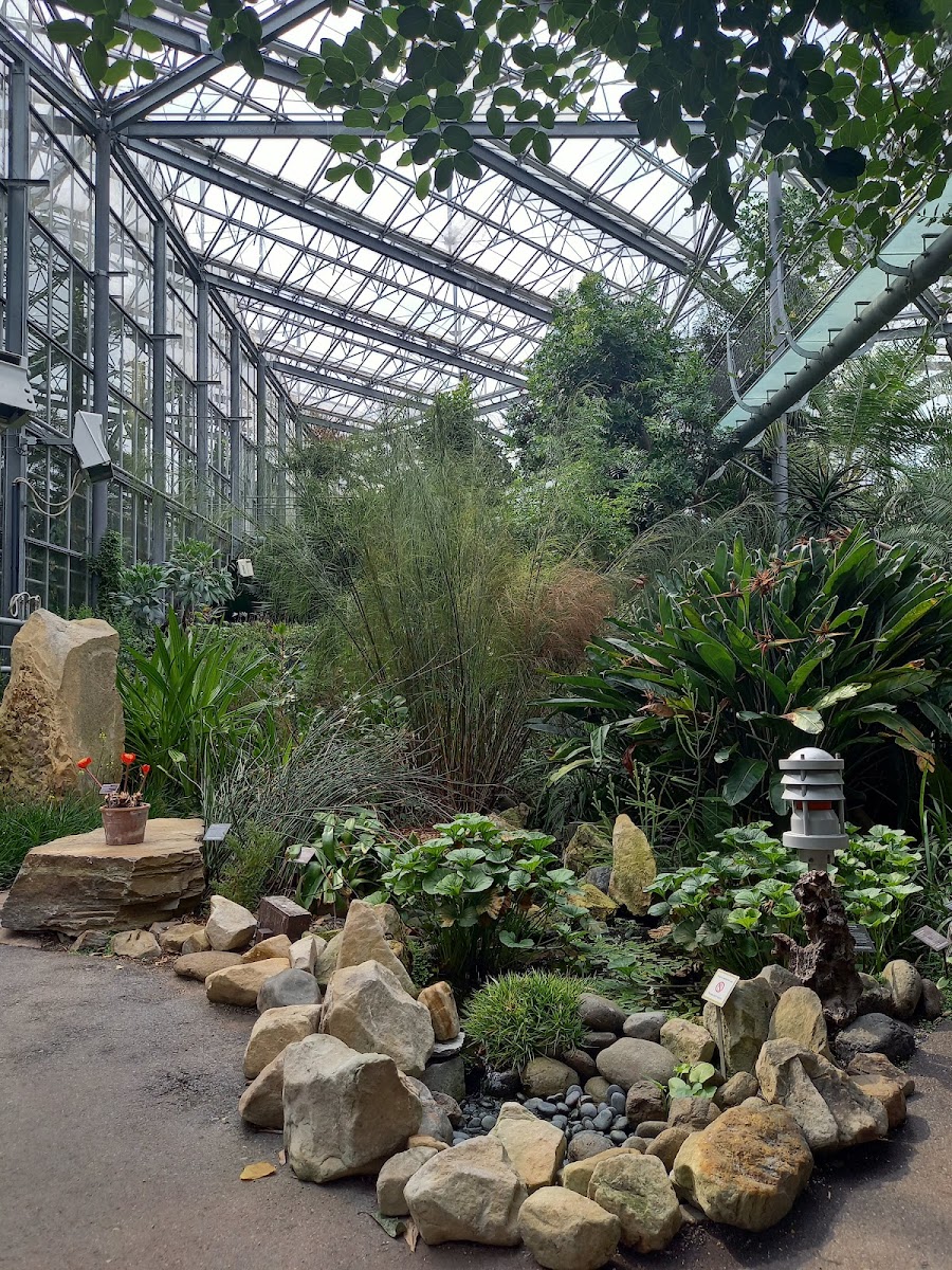 Hortus Café (The Orangery)-4