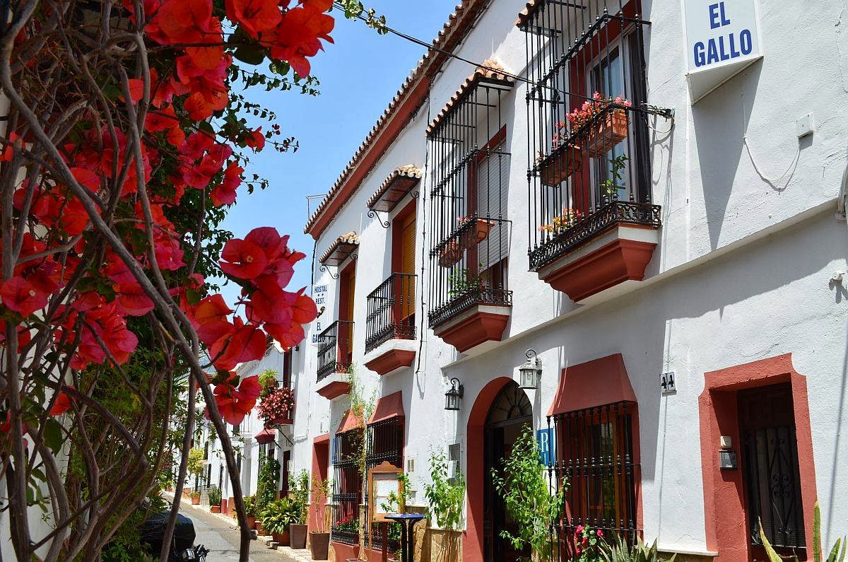 Hostal El Gallo-10