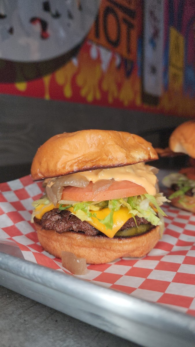 Hot Chickz Chicken Sandwiches-9