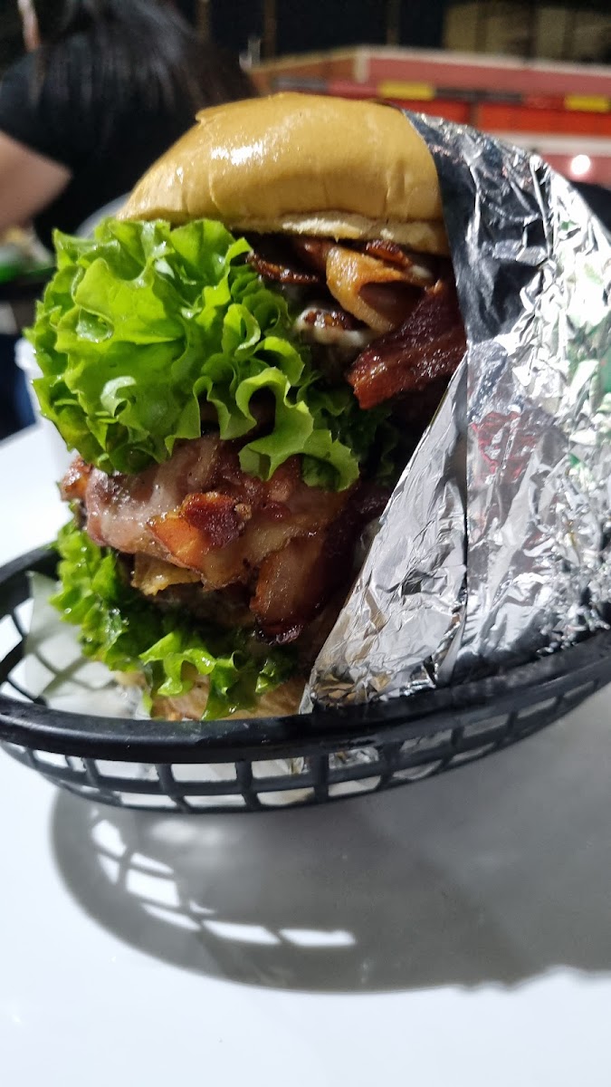 Hot Dog Do Magnata-10