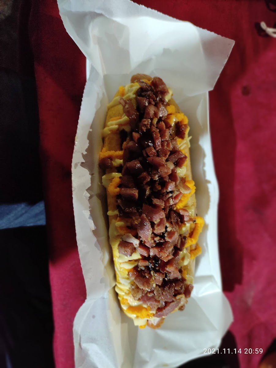 Hot Dog Do Magnata-5