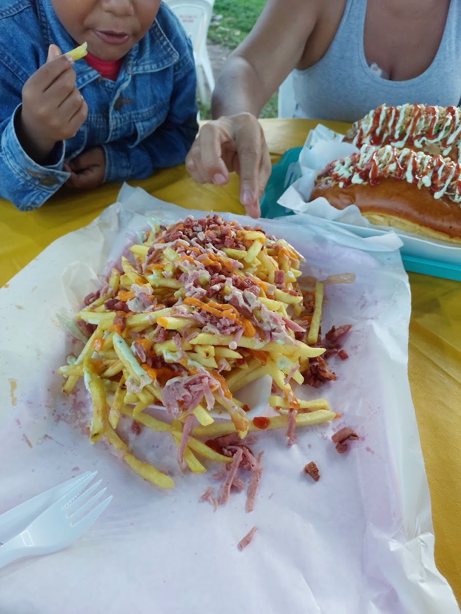 Hot Dog Do Magnata-8