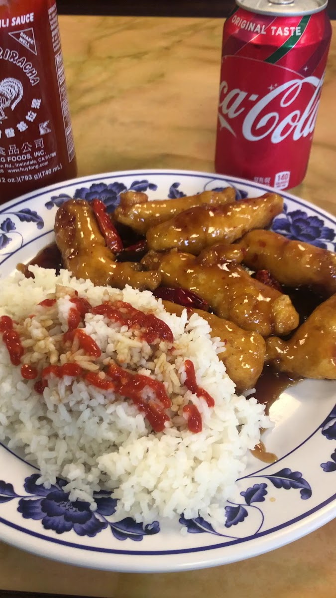 Hot Wok Chinese Food-2