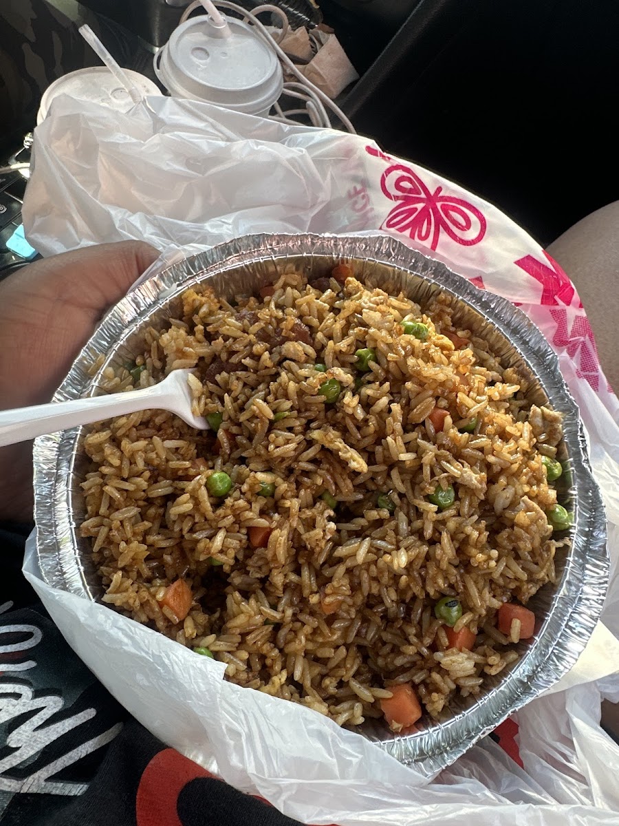 Hot Wok Chinese Food-5
