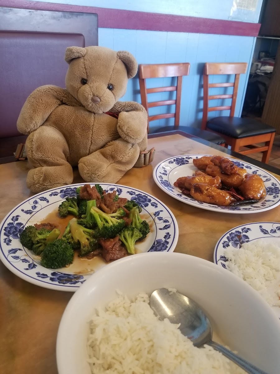 Hot Wok Chinese Food-7