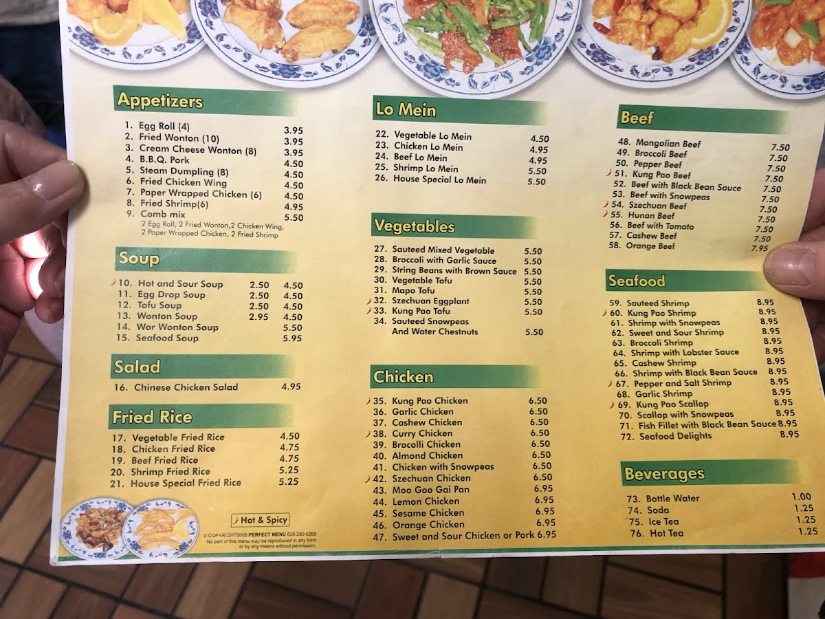 Menu Hot Wok Chinese Food-1