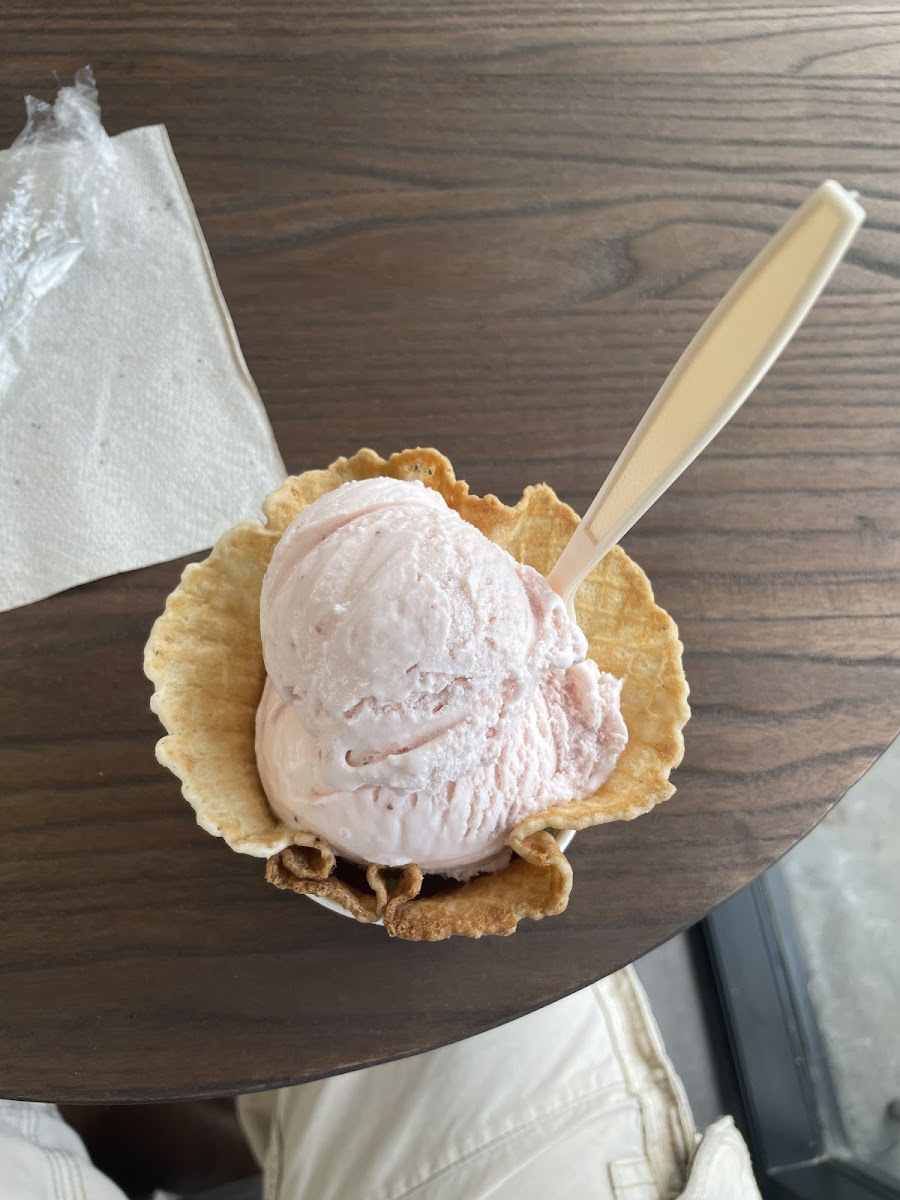 Howdy Homemade Ice Cream Katy-5