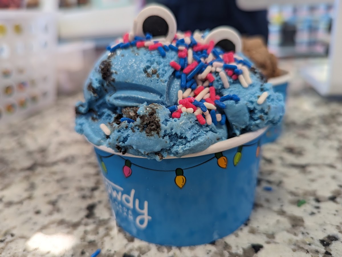 Howdy Homemade Ice Cream Katy-6