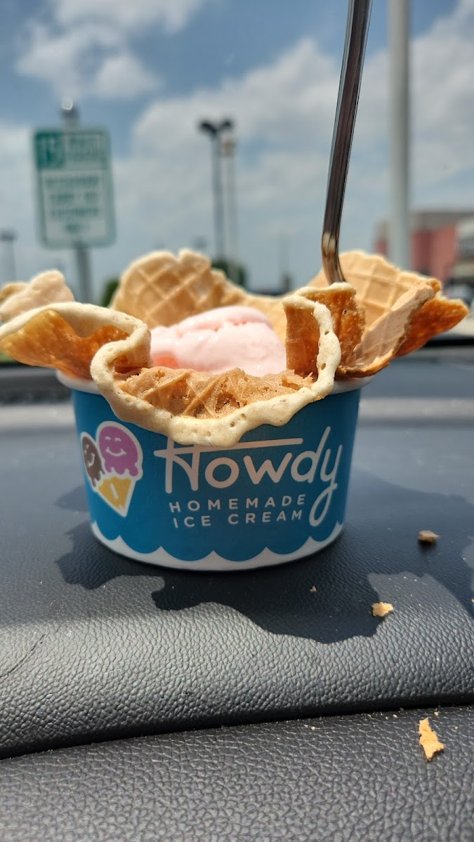 Howdy Homemade Ice Cream Katy-7