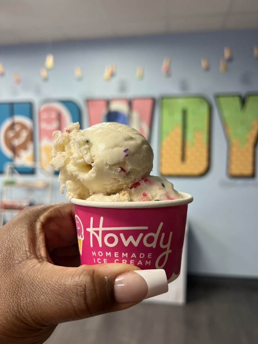 Howdy Homemade Ice Cream Katy-9