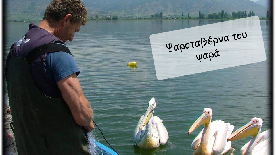 I Psarotaverna Tou Psara-3
