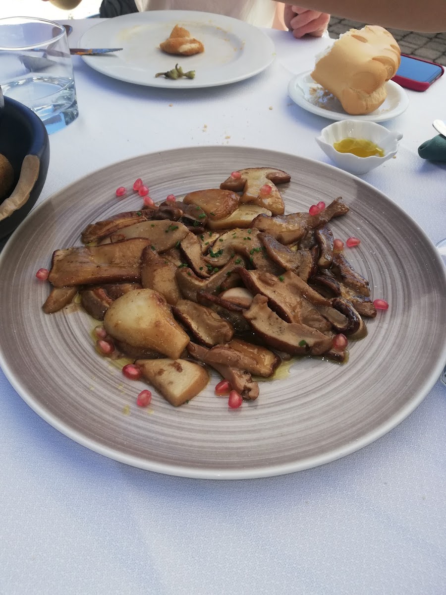 Ibericos Calama-10