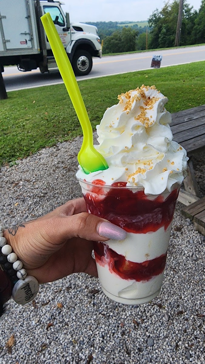 Ice Cream Island-7
