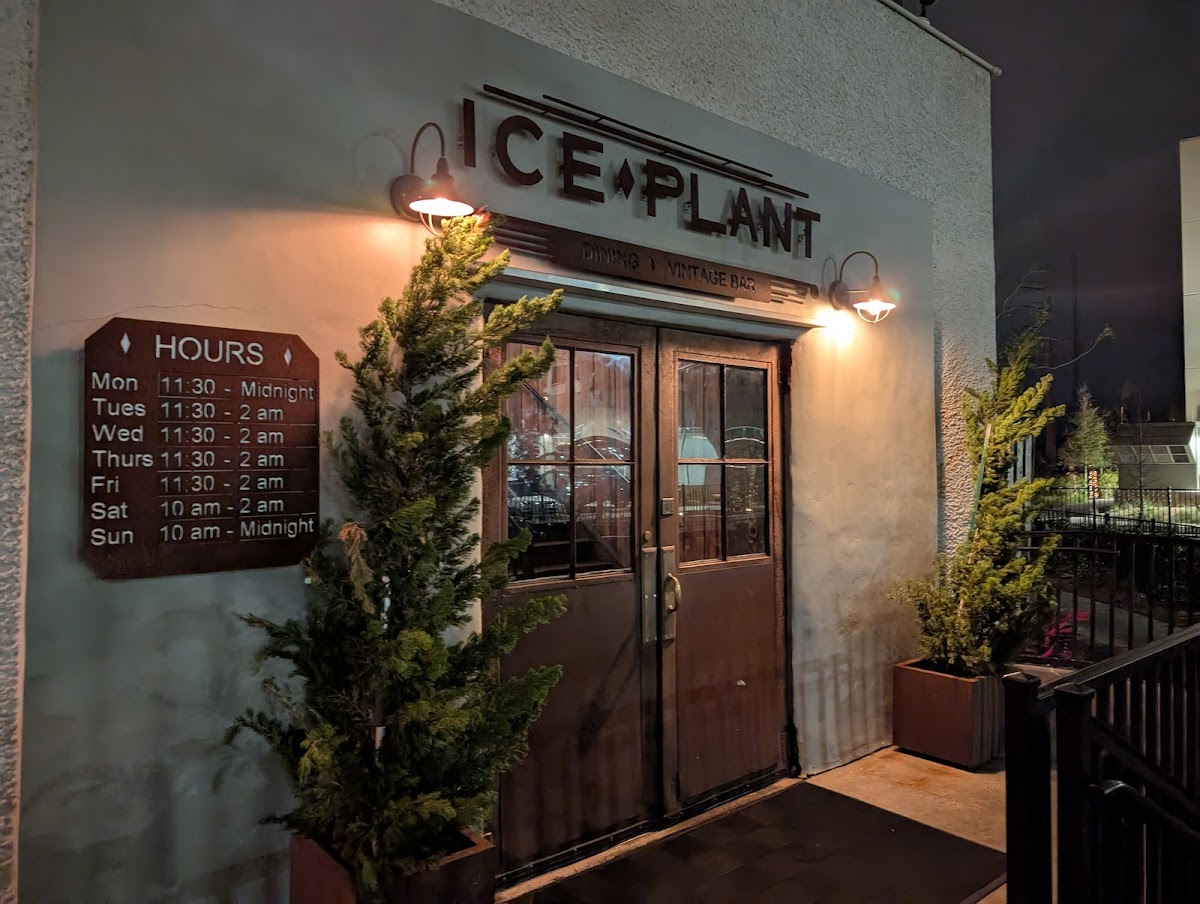 Ice Plant Bar-3
