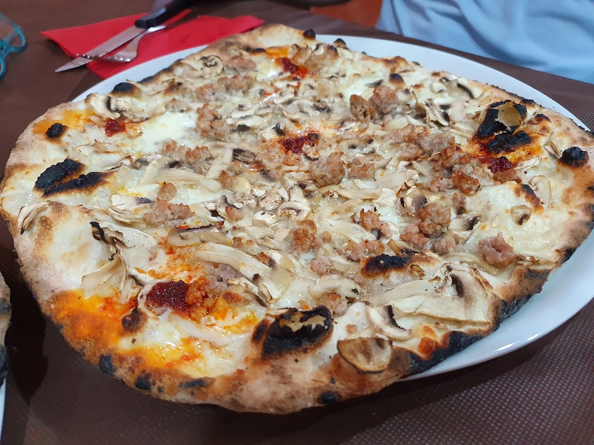 Il Brigante-6