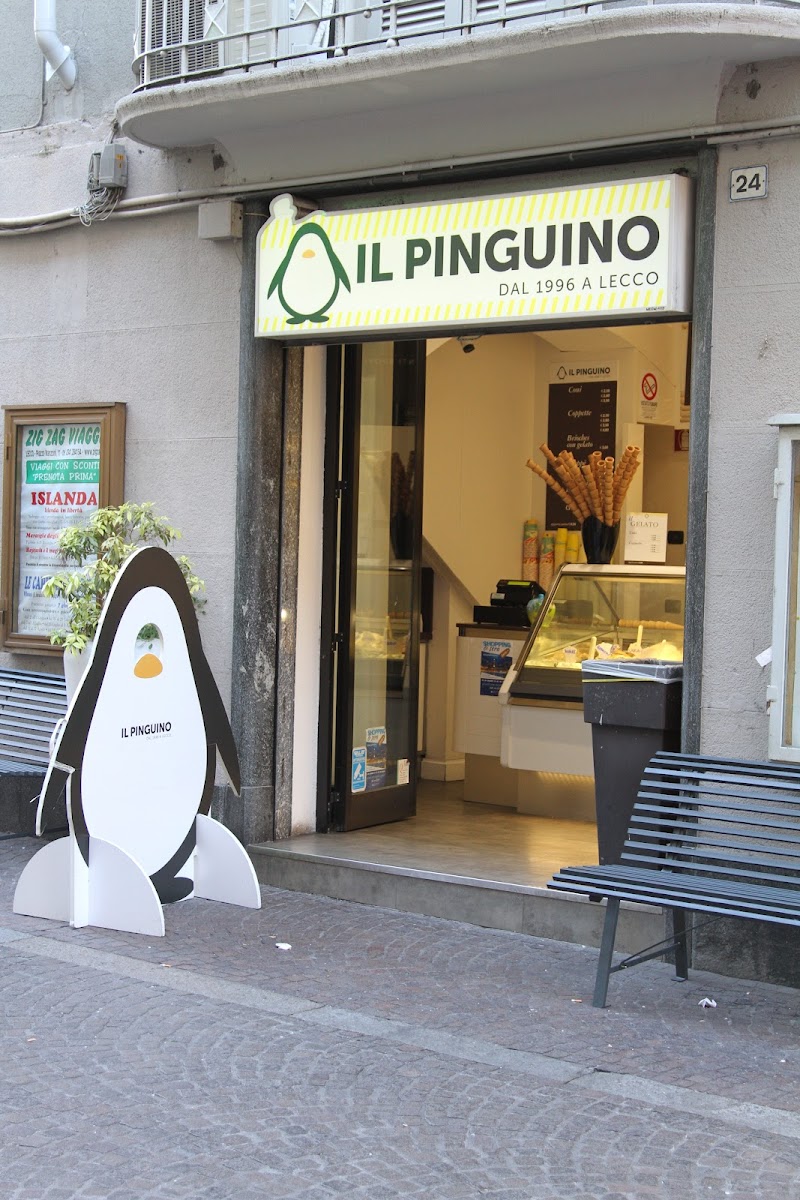 Il Pinguino
