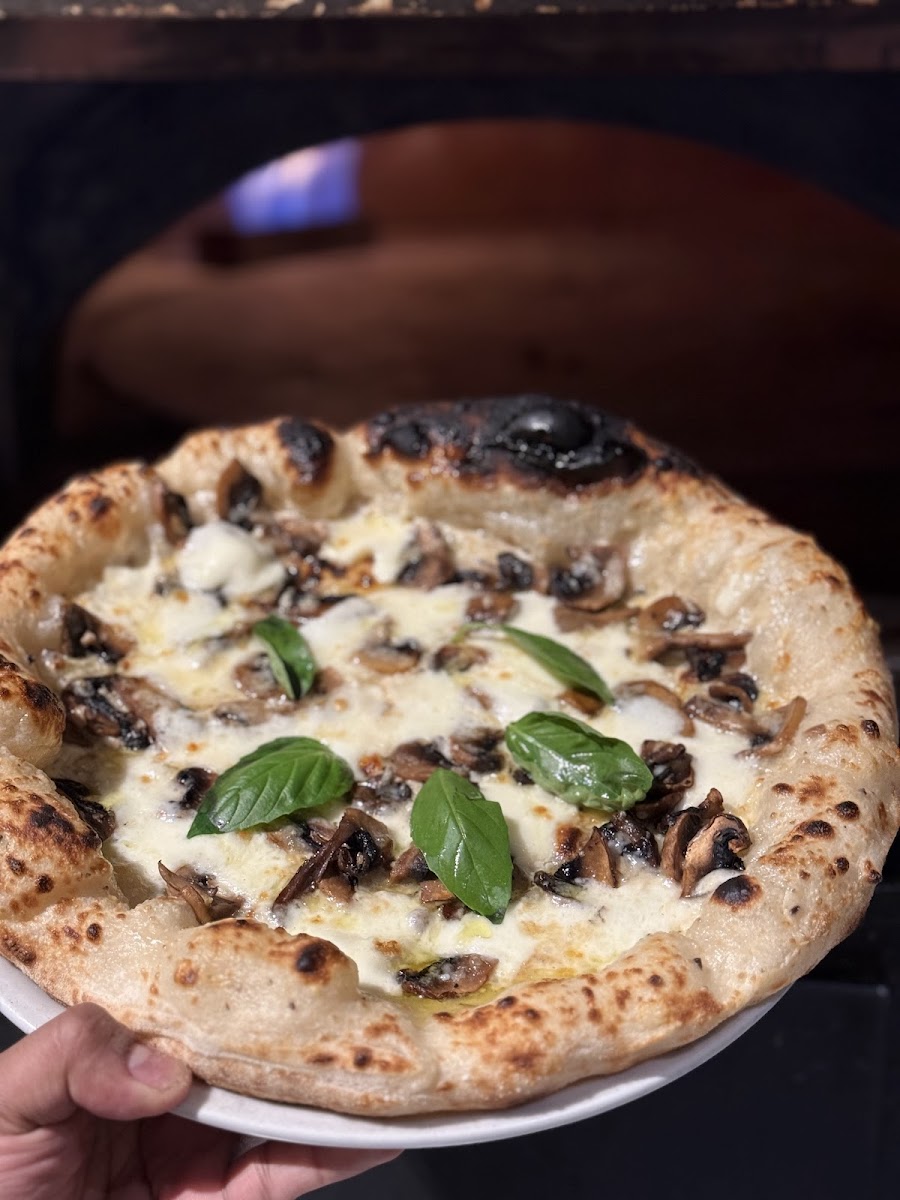 Il Pizzaiolo-4