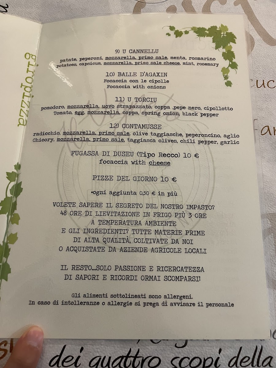 Menu Il Vigneto Pizza E Cucina-10