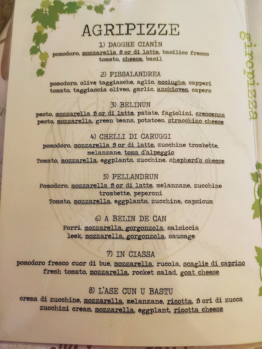 Menu Il Vigneto Pizza E Cucina-6