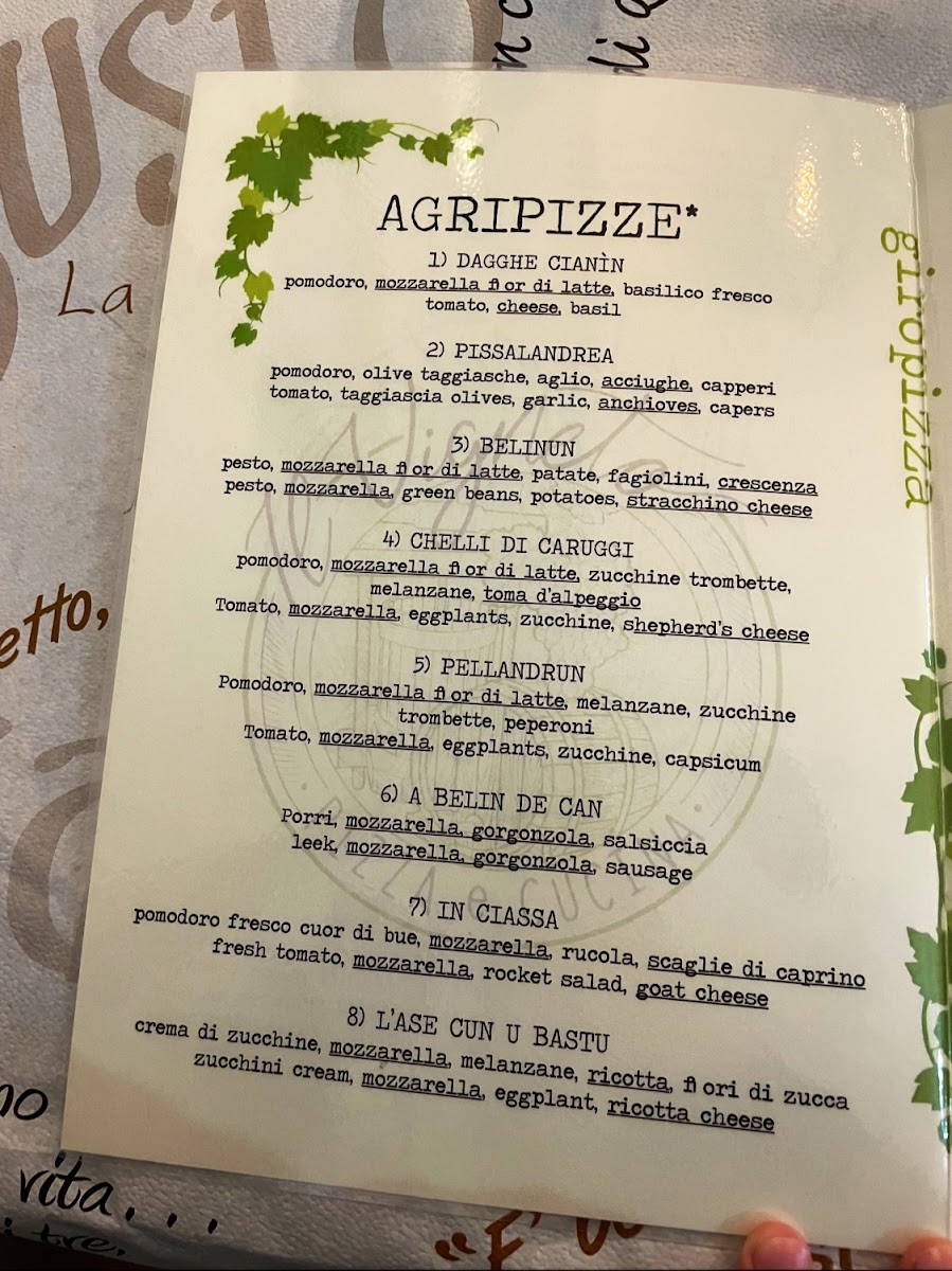 Menu Il Vigneto Pizza E Cucina-9