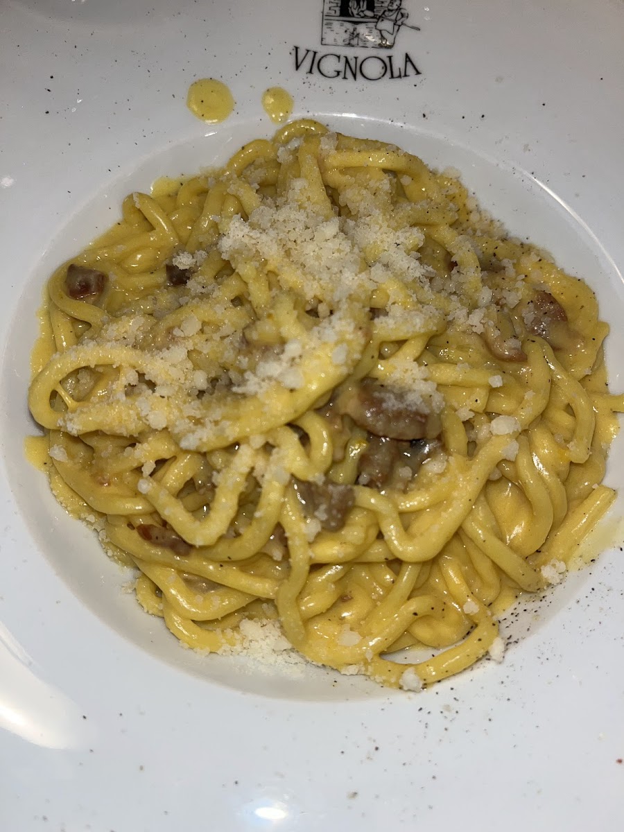 Il Vignola-3