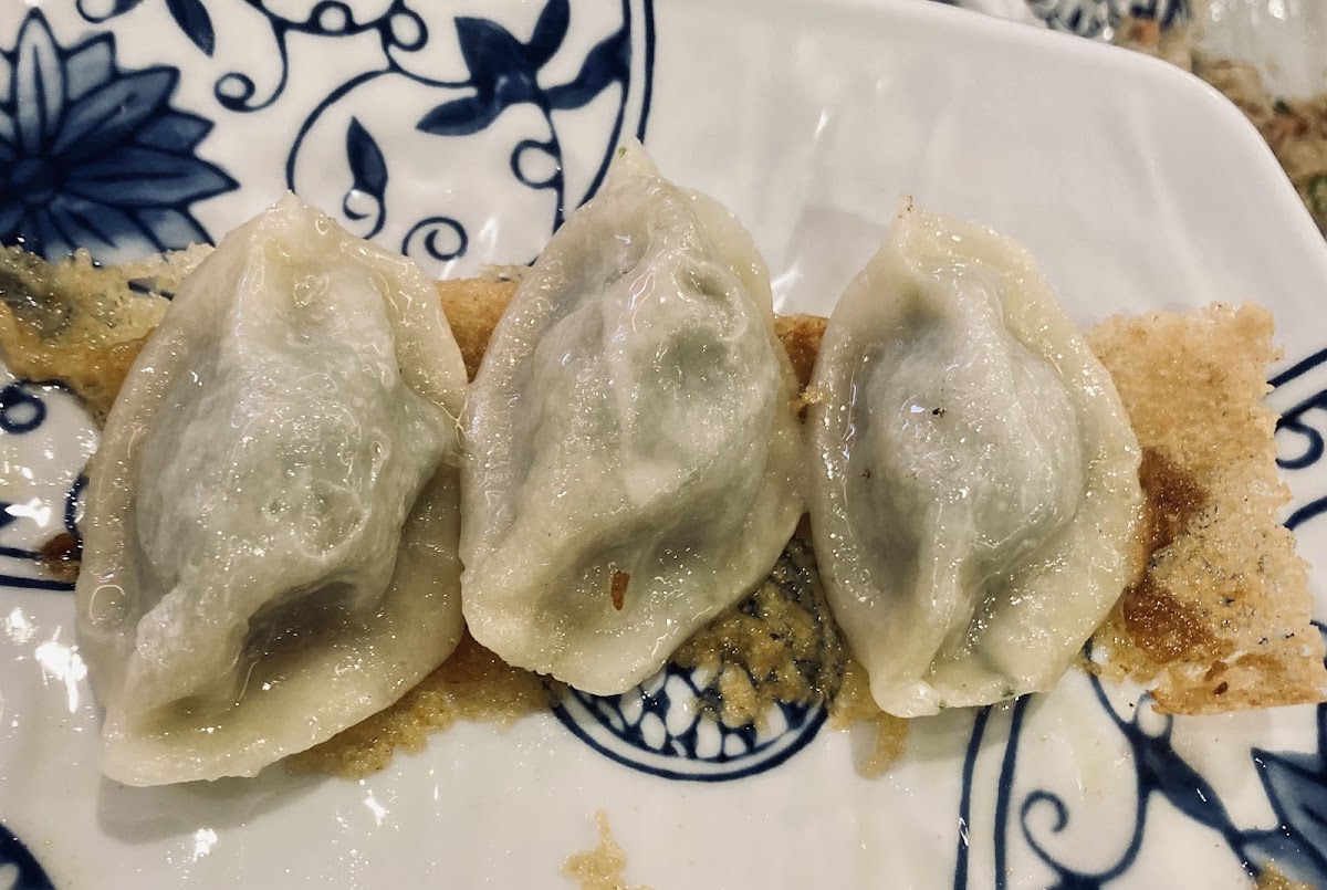 Impressive Dumplings (Everton Park)-8
