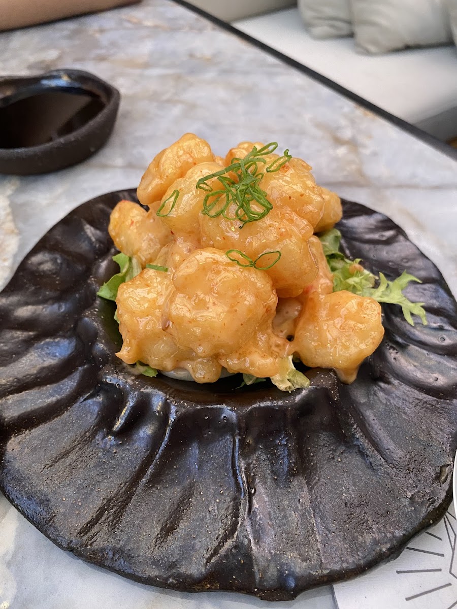 Inari Piku Etiler-6